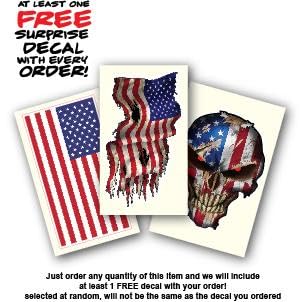 Decals by Haley State Flag and Skull Sticker Flag Decal Pack for Car Truck Vehicle Window